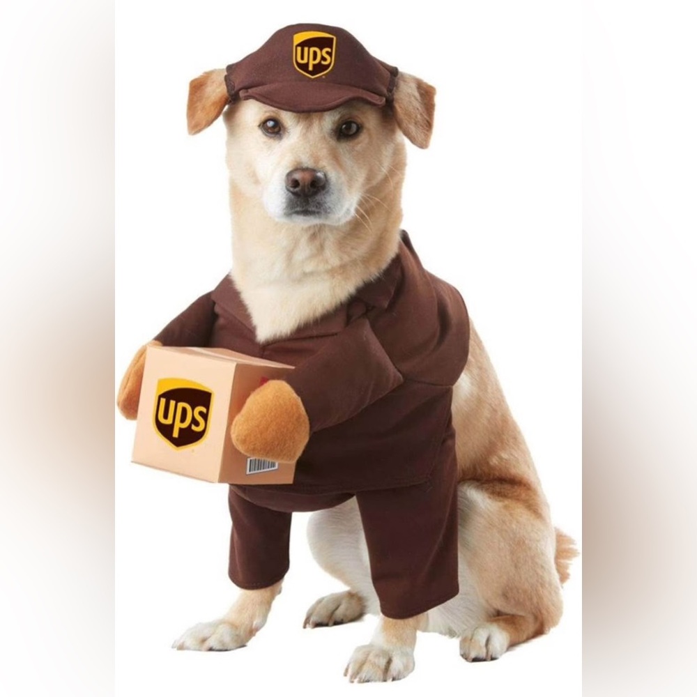 DOG HALLOWEEN COSTUME - NEW